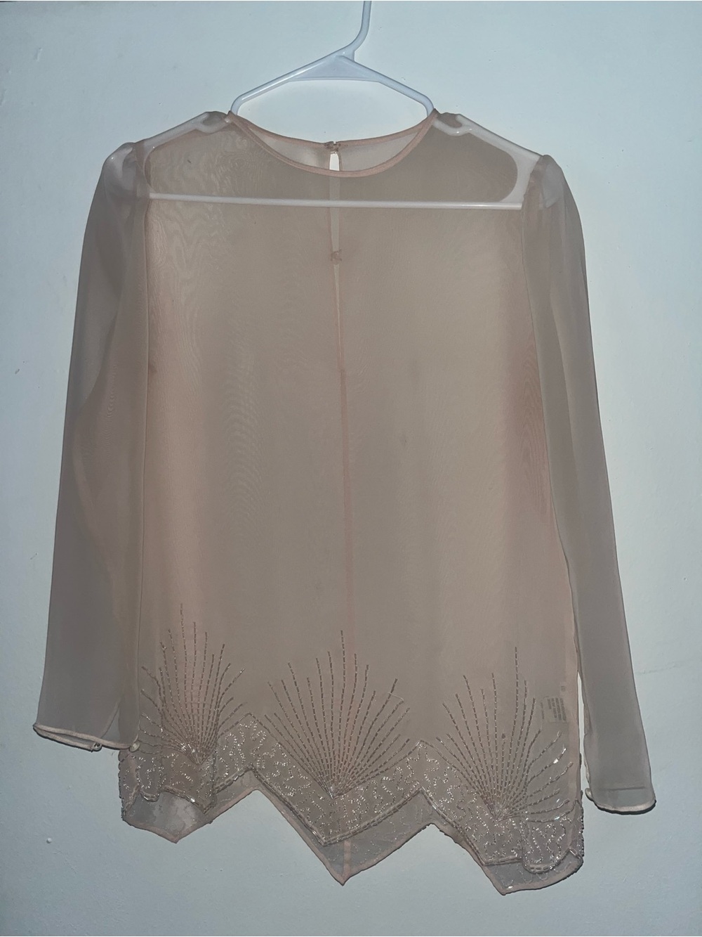 Sheer Embellished Long-Sleeve Blouse in Blush